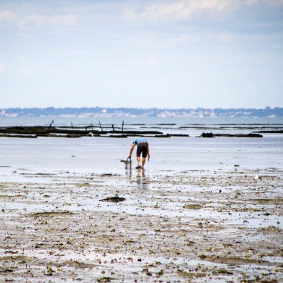 Pêche à pied : on vous dit tout ! cover