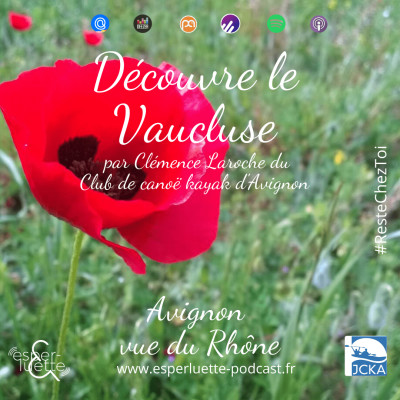 Avignon vue du  Rhône par Clémence - Découvre le Vaucluse #ResteChezToi cover