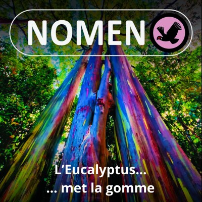 S05E51 L’Eucalyptus met la gomme pour s’adapter cover