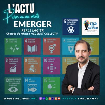 EMERGER Perle LAGIER responsable de mission mécénat collectif ADMICAL cover