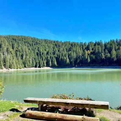 Lacs, forêts et grands espaces : la randonnée idéale dans les Vosges ! cover