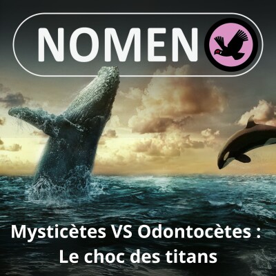 S05E09 Mysticètes / Odontocètes : Le choc des titans cover