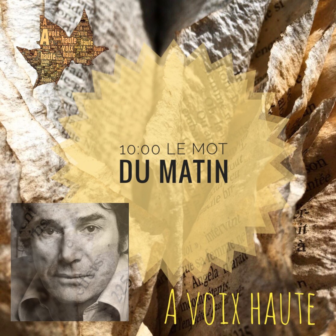 3 - LE MOT DU MATIN - Jacques Brel - Robert Hossein- hommage- Yannick Debain..