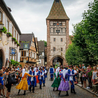Bergheim : Le gewurztraminer mit à l'honneur cover