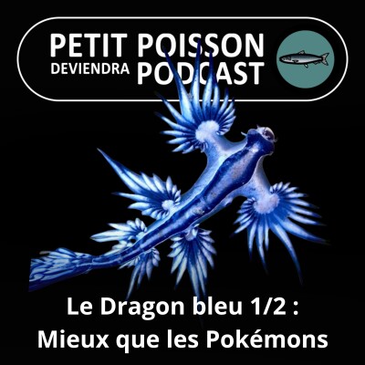 S02E42 Le Dragon bleu 1/2 : Glaucus atlanticus, le golgoth des océans cover