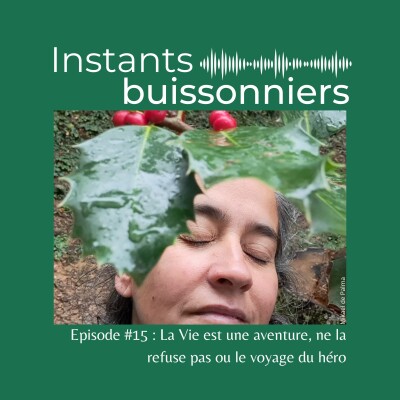 Episode 15 : La Vie est une aventure, ne la refuse pas ! Le voyage du héro cover