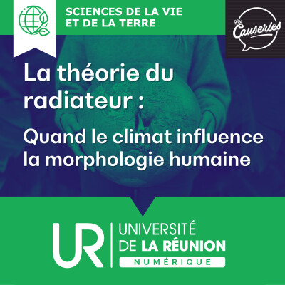 La théorie du radiateur : quand le climat influence la morphologie humaine cover