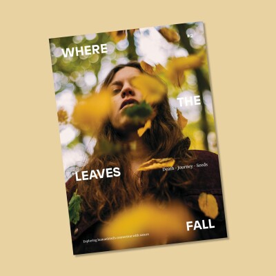 Art and environmentalism in Where the Leaves Fall cover