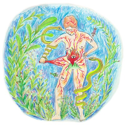 ANODINES cover