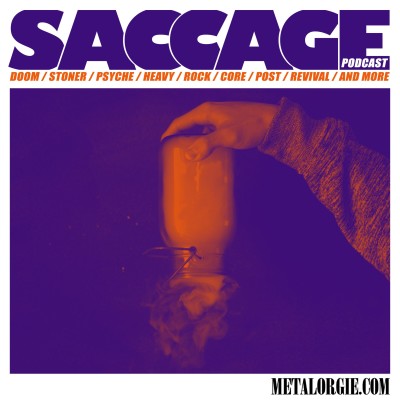 SACCAGE S01E40 Errer dans le Brouillard cover