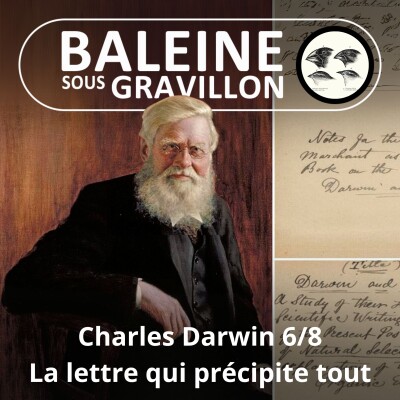 S03E93 Charles Darwin 6/8 : Wallace, un co-découvreur qui précipite tout cover