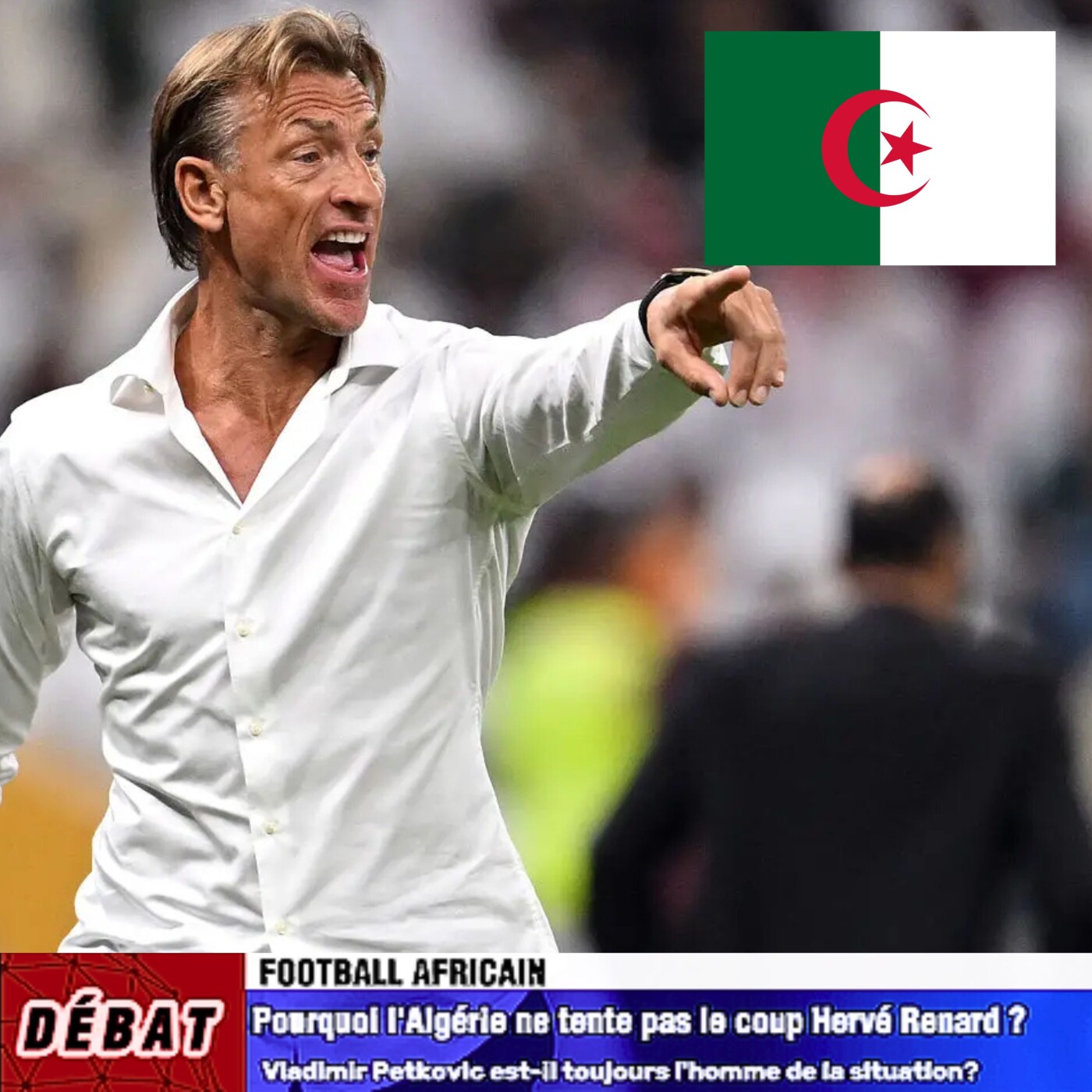 Débat Football Africain - Pourquoi l'Algérie🇩🇿 ne tente pas le coup Hervé Renard🇫🇷 ❓🤔