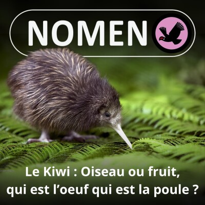 S05E38 Le Kiwi : De l'oiseau ou du fruit, qui est l'œuf, qui est la poule ? cover