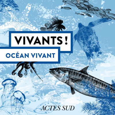 [Extrait] François Sarano dans « Océan Vivant » cover