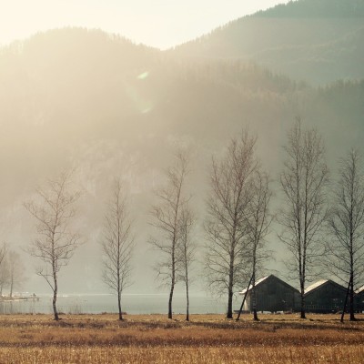 Idées-sorties : week-end du 28 décembre 2019 cover