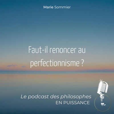 Faut-il renoncer au perfectionnisme ? cover
