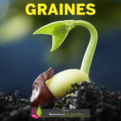 HISTOIRES BOTANIQUES: SECRETS ET MYSTÈRES DES GRAINES ET DE LA GERMINATION cover
