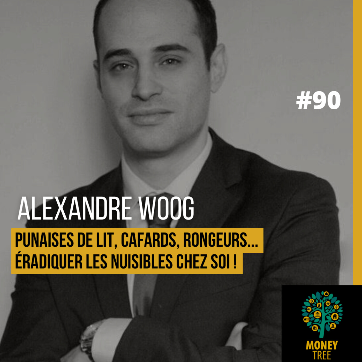 Money Tree, le podcast Immobilier & Investissement d\'Artae