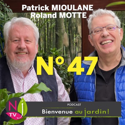 EMISSION #47 du 19 MARS 2022 - L'INTEGRALE cover