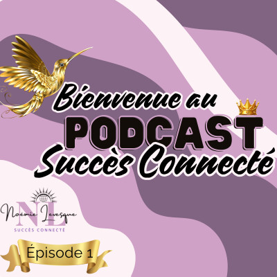 Bienvenue sur le podcast Succès Connecté cover