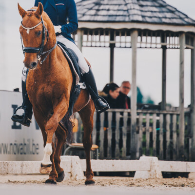 🧘♀️ Mindset • Dealer avec le jugement, les juges sont la pour nous et non pas contre nous cover