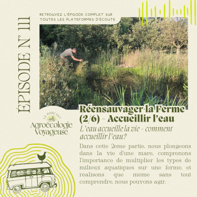 #111 Réensauvager la Ferme (2/6) L'eau attire aussi les Naturalistes cover