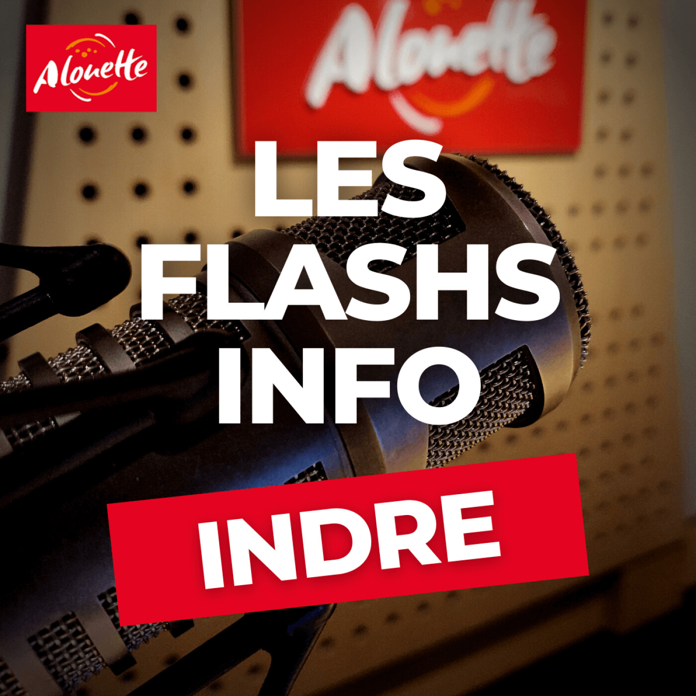 Alouette - Les Infos du 22 Décembre 12h30 dans l'Indre.