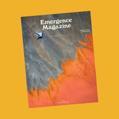 Immersed in Emergence cover
