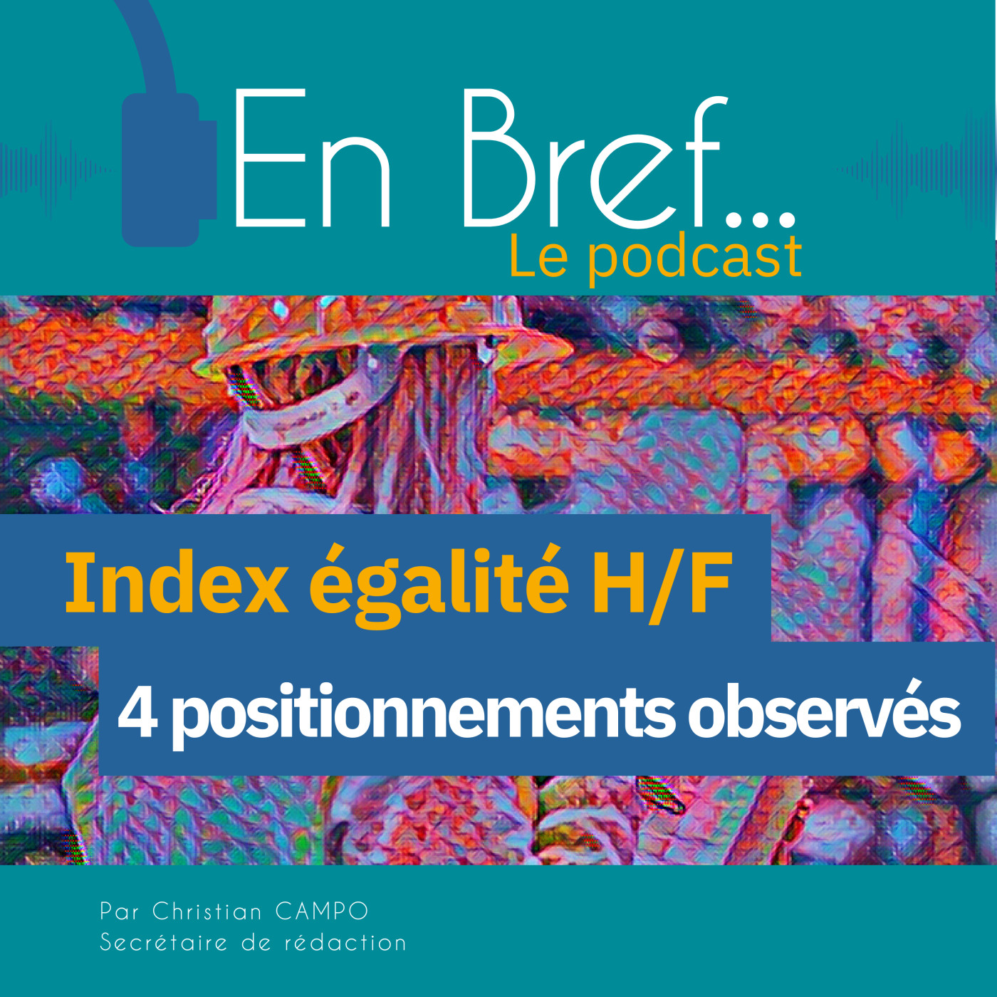 En Bref.... Le podcast du Céreq (Centre d\'études et de recherches sur les qualifications)