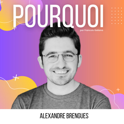 Comment Maîtriser l'Art de la Persuasion - Alexandre Brengues cover