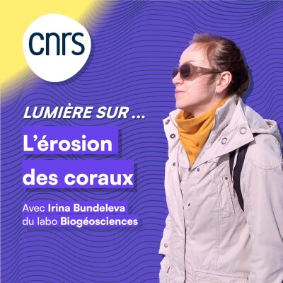 Lumière sur... L'érosion des coraux cover