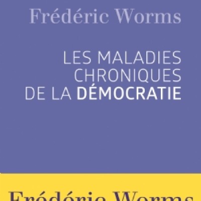 Les maladies chroniques de la démocratie cover