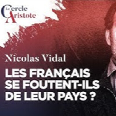 Les français se foutent-ils de leur pays ? - N. Vidal - # politique cover