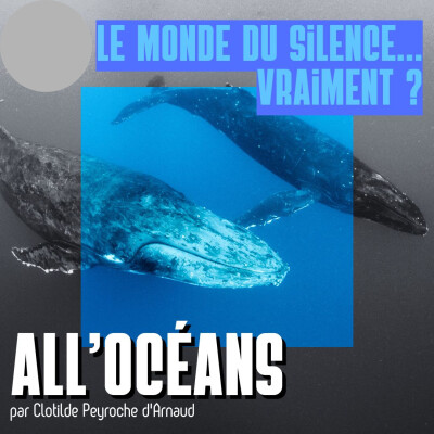 Le monde du silence ... vraiment? cover