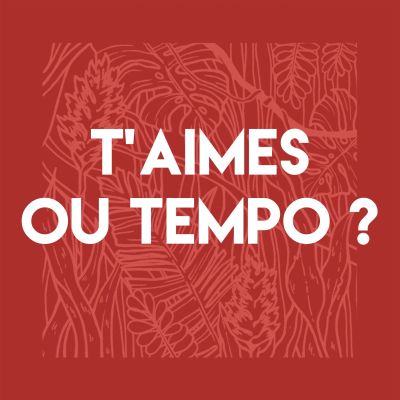 T'aimes ou Tempo #3 : Un amour en Italie cover