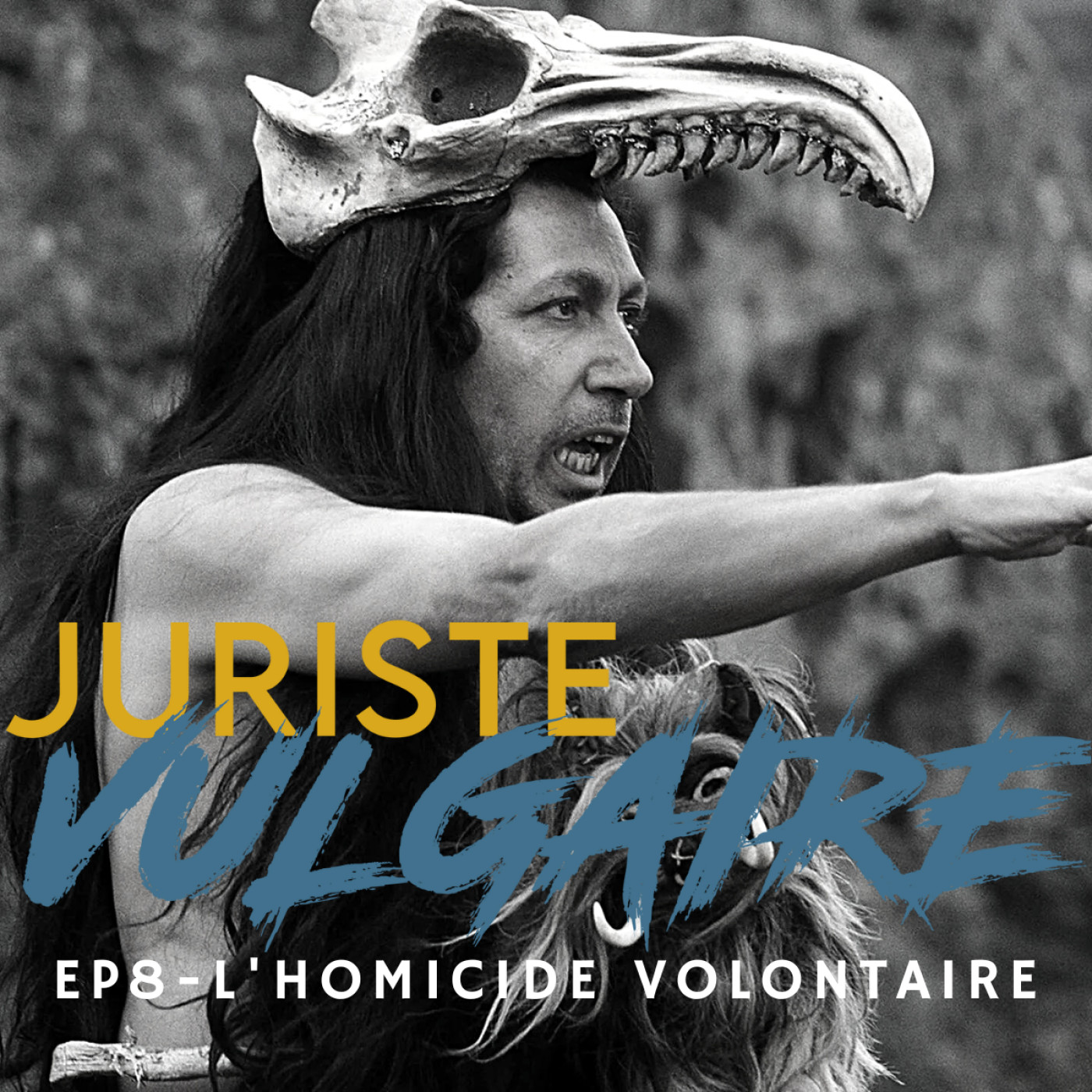 Juriste Vulgaire