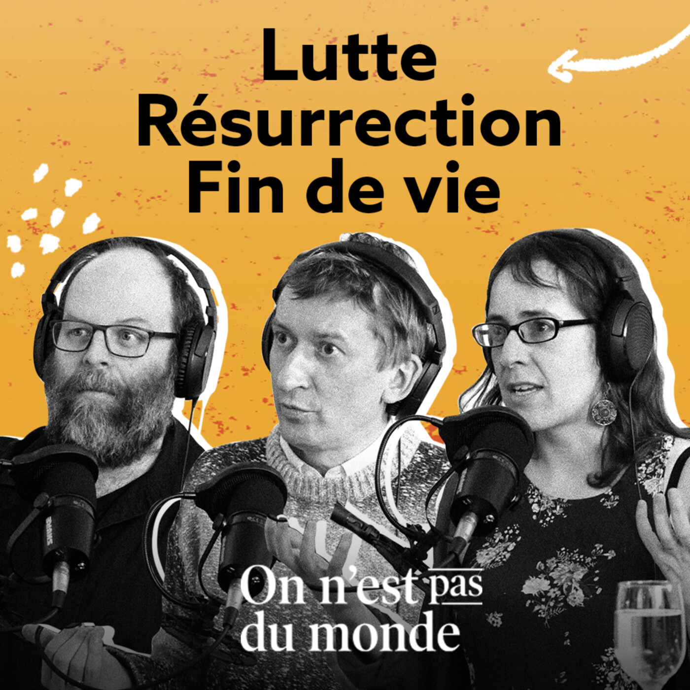 E315 – Lutte | Résurrection | Fin de vie episode artwork