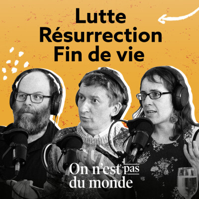 E315 – Lutte | Résurrection | Fin de vie cover