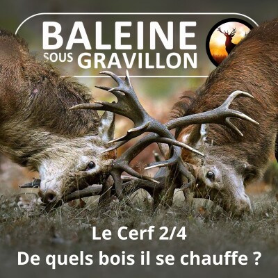 S06E10 Le Cerf 2/4 : De quels bois il se chauffe ? cover