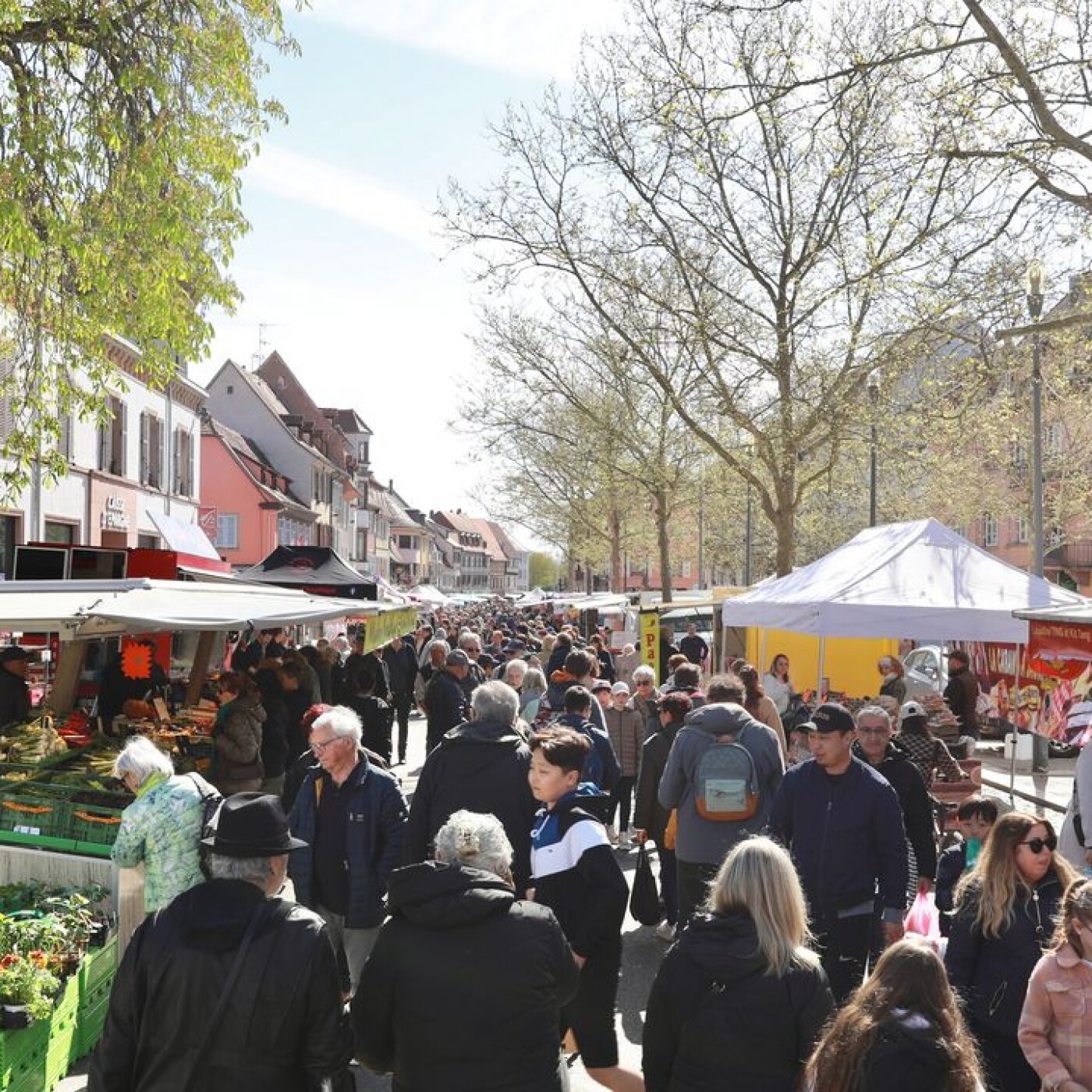Marché de Sélestat : Roseline Guérard, boulangère episode artwork