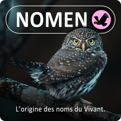 Nomen : Les plus étonnantes origines des noms des espèces cover