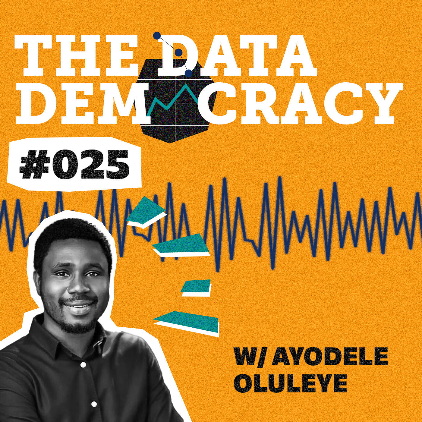 The Data Democracy