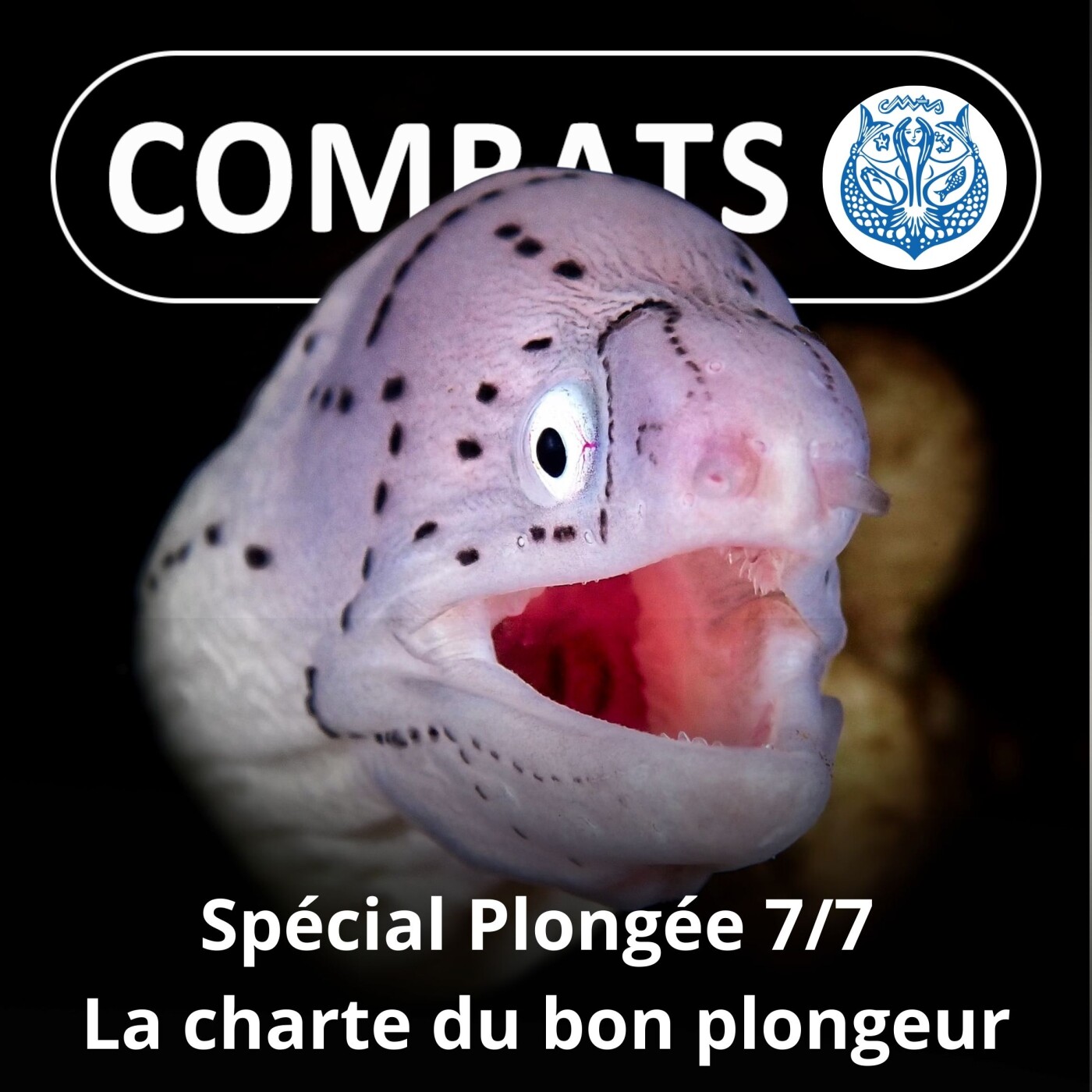 SPÉCIAL PLONGÉE 7/7 : Un plongeur sachant plonger doit savoir... (Longitudes 181)