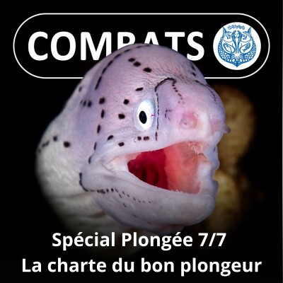 SPÉCIAL PLONGÉE 7/7 : Un plongeur sachant plonger doit savoir... (Longitudes 181) cover