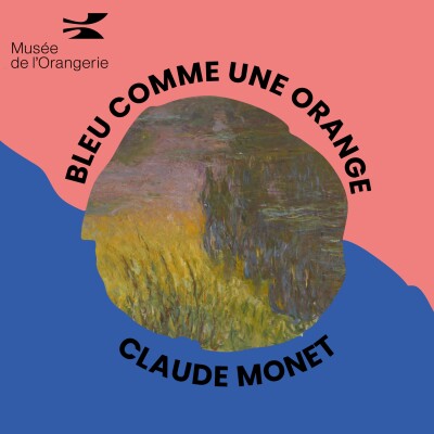 Bleu comme une orange : Le flou de Monet cover