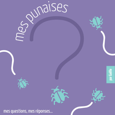 E42 Les expressions d'origine culinaire cover