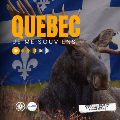 Show cover