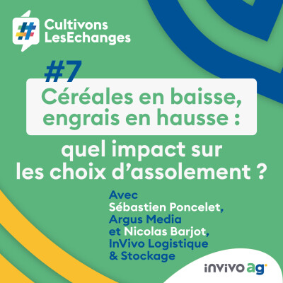 Céréales en baisse, engrais en hausse : quel impact sur les choix d'assolement ? cover