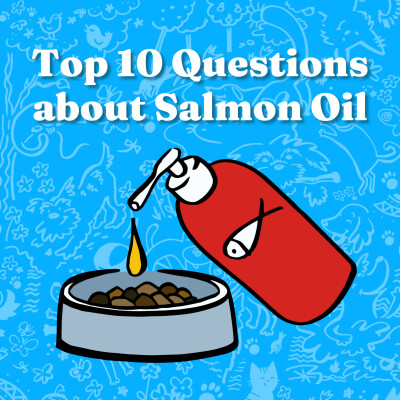Top 10 Questions About Salmon Oil cover