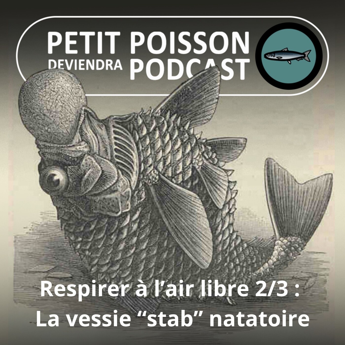 Petit Poisson deviendra Podcast